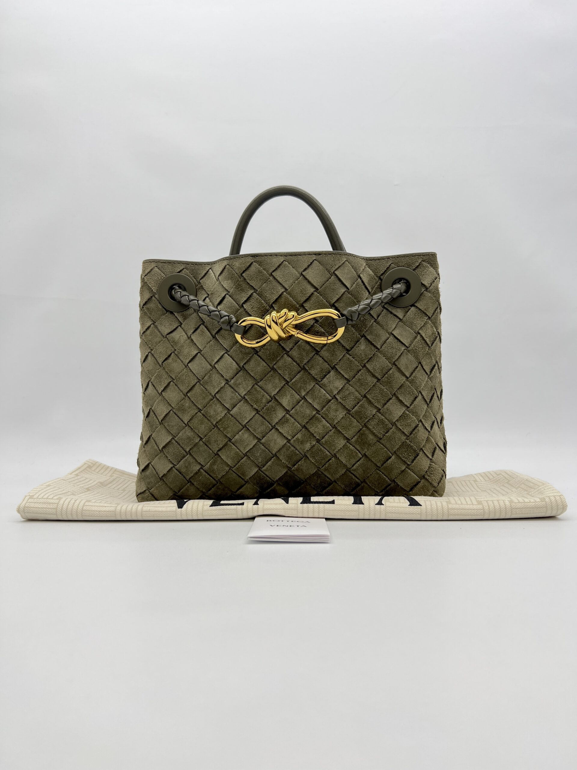 Bottega Veneta Small Andiamo Suede Intrecciato Cypress GHW