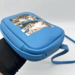 Balenciaga Everyday Camera Bag Blue Cat SHW