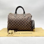 Louis Vuitton Speedy Bandou 30 Damier Ebene GHW