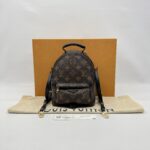 Louis Vuitton Mini Palmspring Monogram Macassar