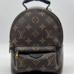 Louis Vuitton Mini Palmspring Monogram Macassar