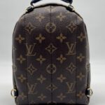 Louis Vuitton Mini Palmspring Monogram Macassar
