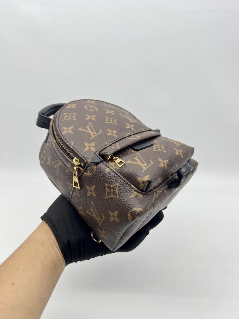 Louis Vuitton Mini Palmspring Monogram Macassar