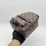 Louis Vuitton Mini Palmspring Monogram Macassar