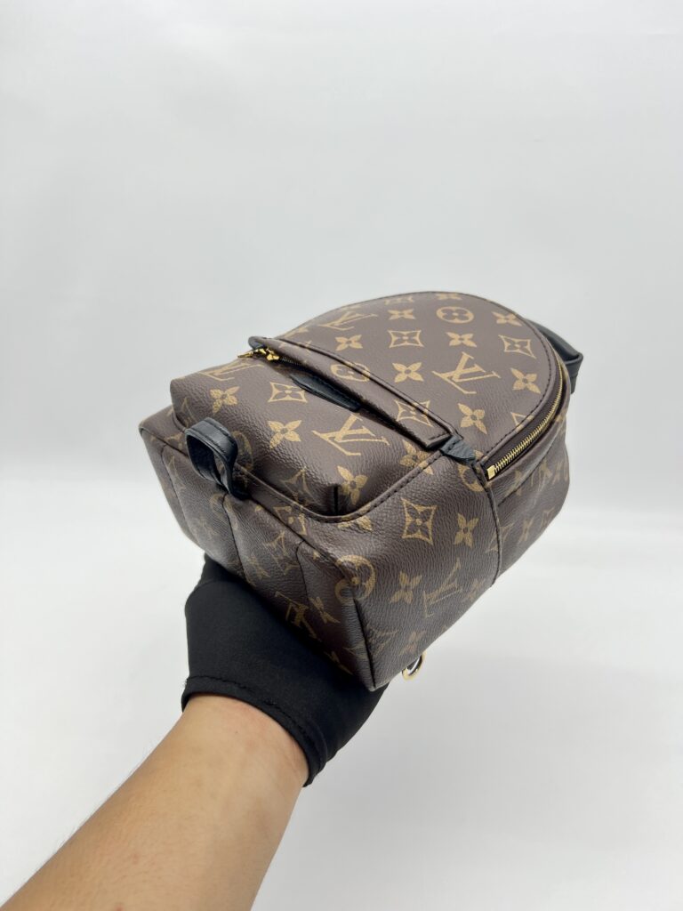 Louis Vuitton Mini Palmspring Monogram Macassar