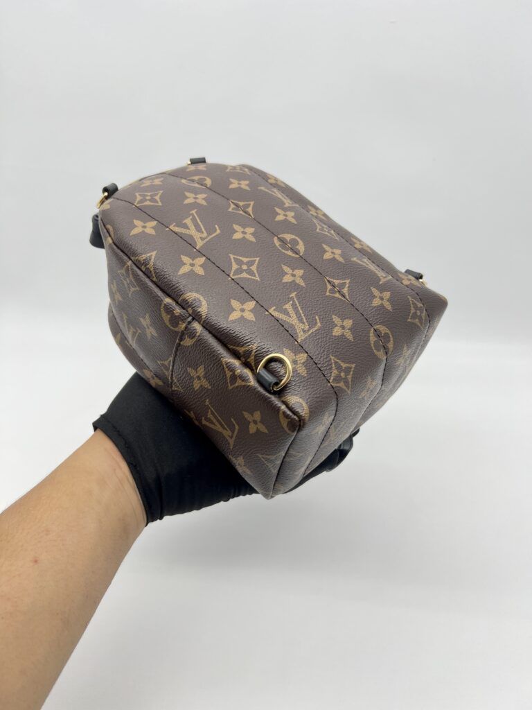 Louis Vuitton Mini Palmspring Monogram Macassar