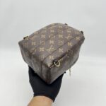 Louis Vuitton Mini Palmspring Monogram Macassar