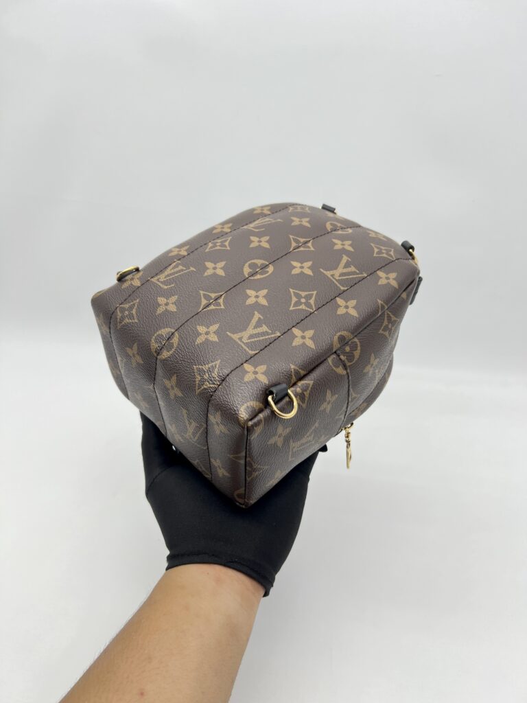 Louis Vuitton Mini Palmspring Monogram Macassar