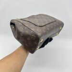 Louis Vuitton CLuny MM Monogram GHW