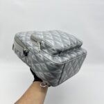 Dior Rider Sling Bag Diamond Coated Canvas Grey SHW