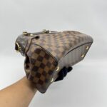 Louis Vuitton Trevi PM Damier Ebene GHW