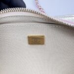 Chanel Mini Flap Bag Iridescent Pink Silver GHW