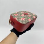 Gucci Apple Camera Bag Canvas Supreme Red GHW