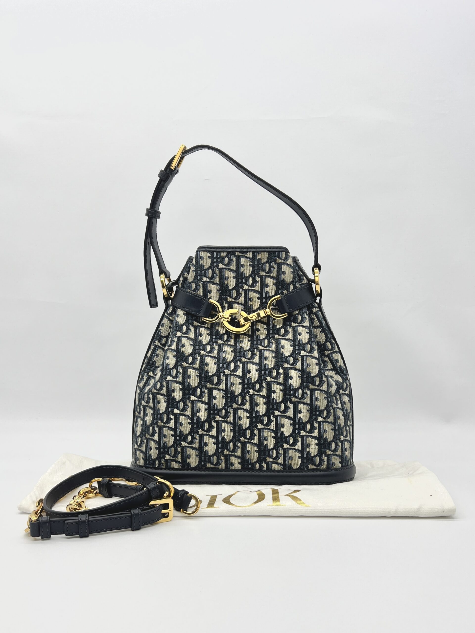 Dior Medium C’est Bag Canvas Blue Oblique GHW