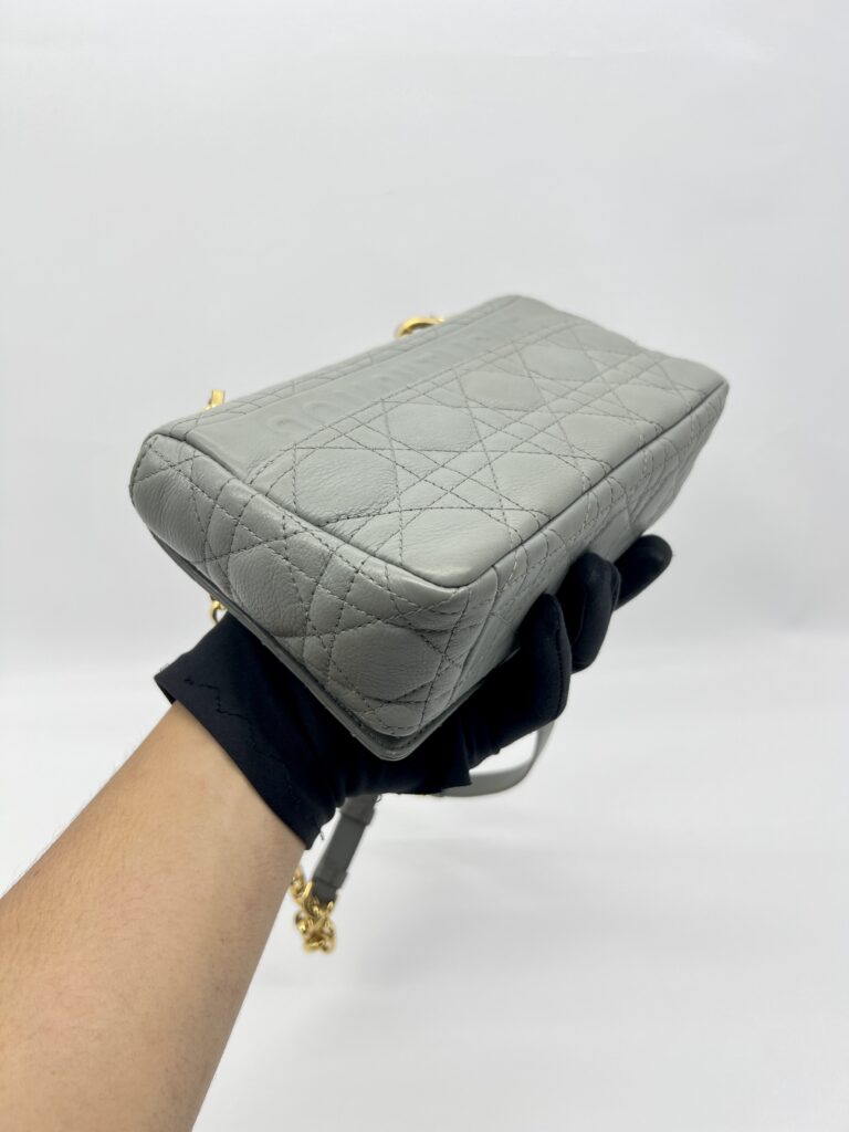 Dior Caro Small Gray GHW