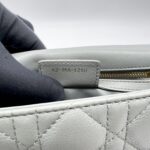 Dior Caro Small Gray GHW