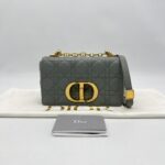 Dior Caro Small Gray GHW