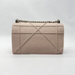 Dior Diorama Medium Light Pink SHW
