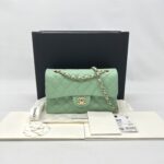 Chanel Small Classic D Flap Caviar Light Green SHW