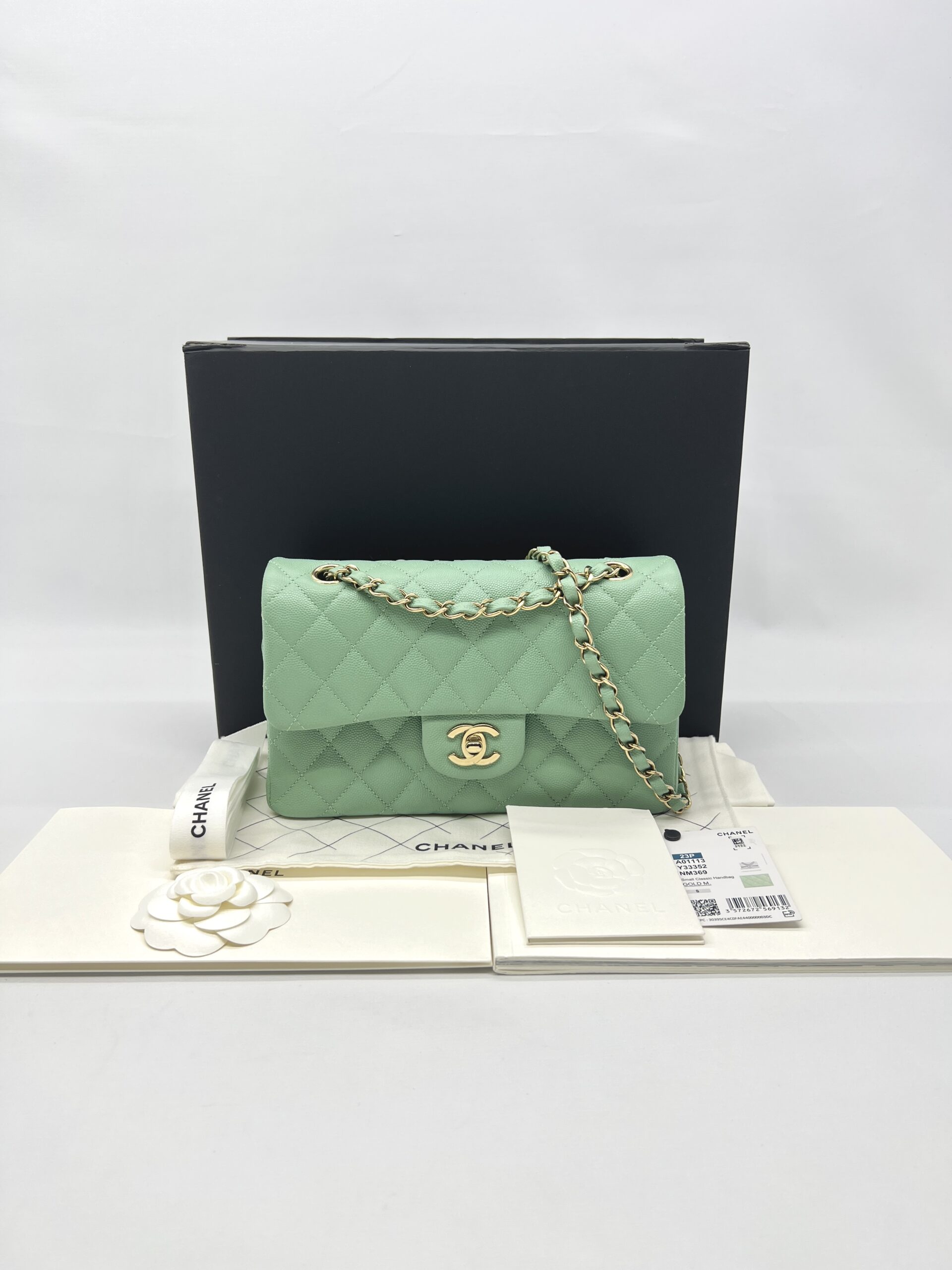 Chanel Small Classic D Flap Caviar Light Green SHW