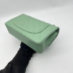 Chanel Small Classic D Flap Caviar Light Green SHW