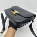 Celine Triomphe Classic Medium Black GHW