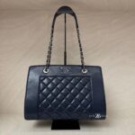 Chanel Mademoiselle Vintage Bag Navy SHW