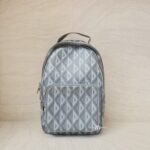 Dior Rider Sling Bag Diamond Coated Canvas Grey SHW