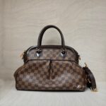 Louis Vuitton Trevi PM Damier Ebene GHW