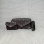 Louis Vuitton Felicie Strap Go Monogram GHW