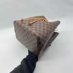 Louis Vuitton NeoNoé MM Damier Safran