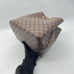 Louis Vuitton NeoNoé MM Damier Safran