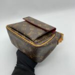 Louis Vuitton Viva Cite PM Monogram