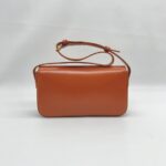 Celine Triomphe East West Shiny Calfskin Cornelin Gold Hardware
