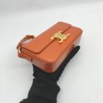 Celine Triomphe East West Shiny Calfskin Cornelin Gold Hardware