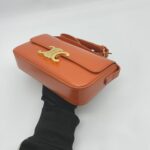 Celine Triomphe East West Shiny Calfskin Cornelin Gold Hardware