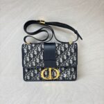 Dior 30 Montaigne Canvas Blue Oblique GHW
