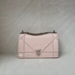 Dior Diorama Medium Light Pink SHW