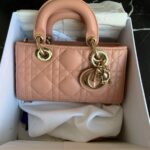 Dior Djoy Mini Micro Blush Gold Hardware