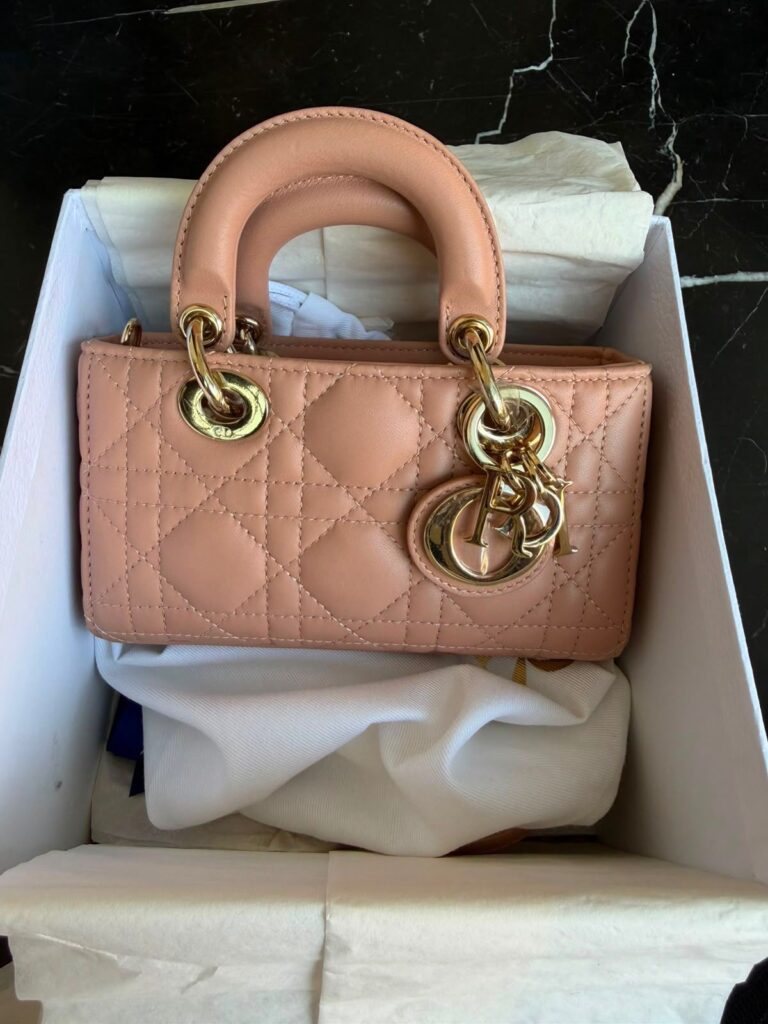 Dior Djoy Mini Micro Blush Gold Hardware