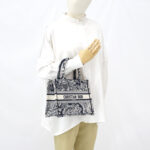 Dior Small Book Tote Canvas Toile De jouy Blue