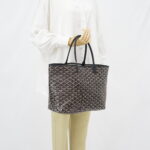 Goyard St Louis PM Goyardine Noir SHW