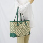 Gucci Ophidia Tote Bags GG Raffia Beige Green GHW