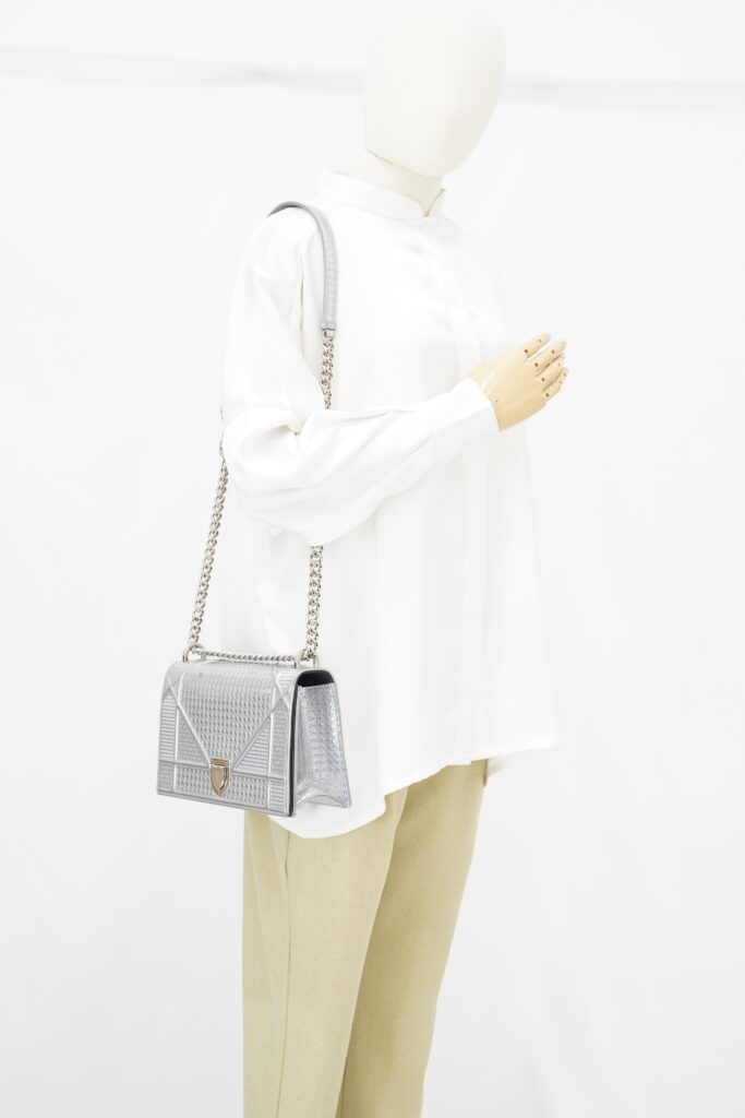 Dior Diorama Medium Metallic Silver SHW