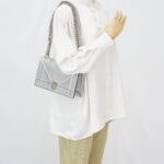 Dior Diorama Medium Metallic Silver SHW