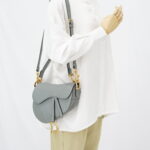 Dior Saddle Medium Grained Stone Grey GHW