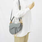 Dior Saddle Medium Grained Stone Grey GHW