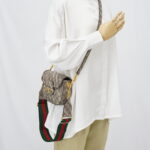 Gucci Horsebit Mini GG Supreme Balenciaga All Over Logo GHW
