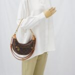 Louis Vuitton Loop Hobo PM Monogram GHW