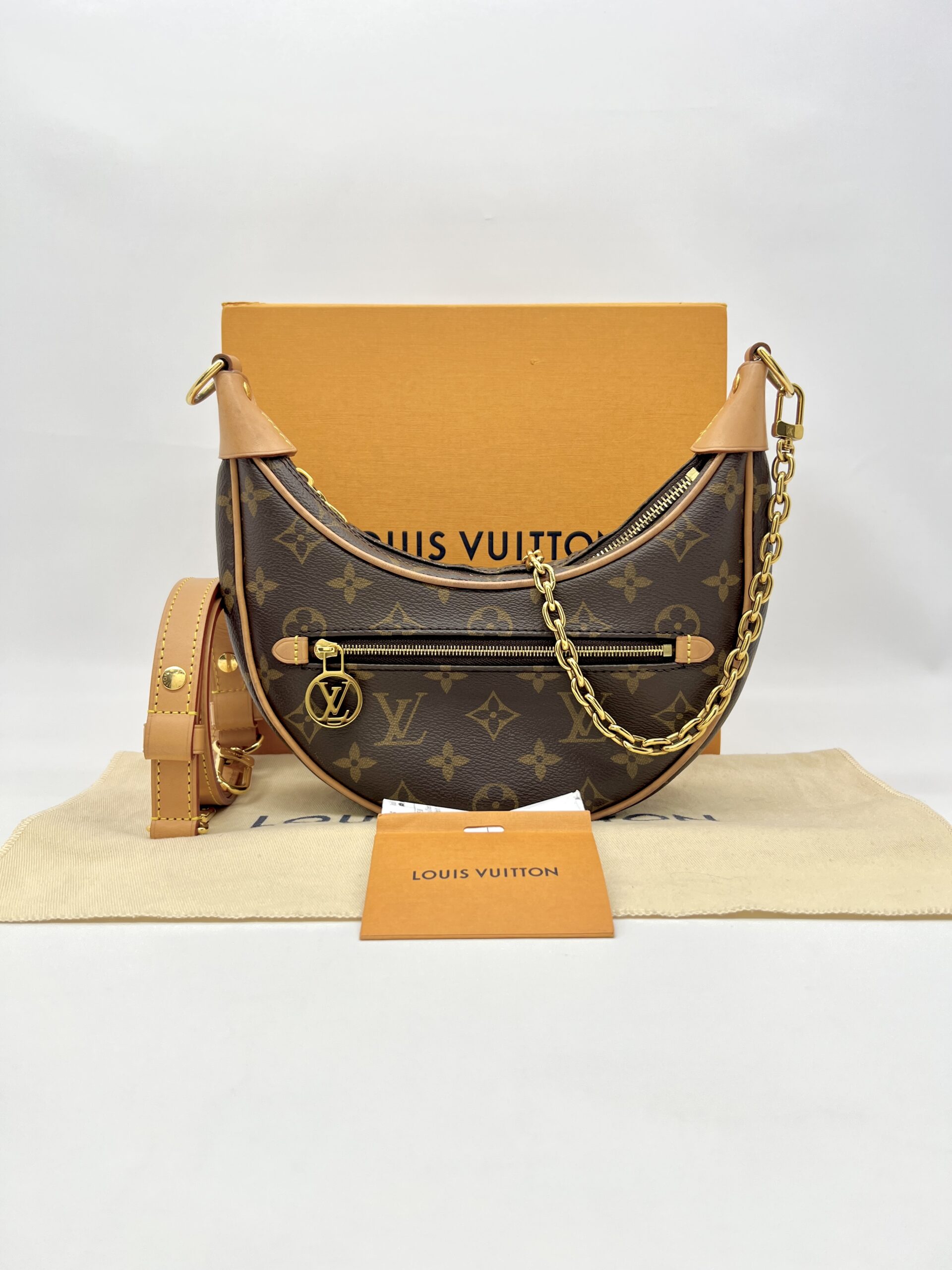 Louis Vuitton Loop Hobo PM Monogram GHW